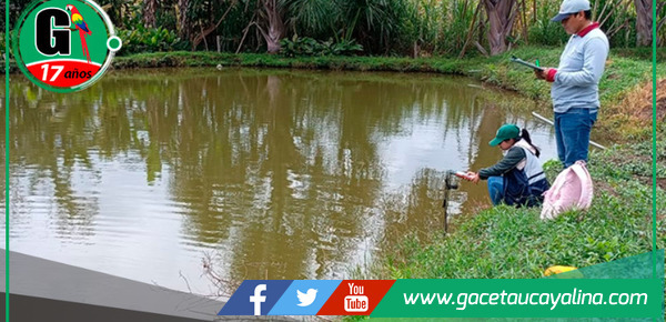 Direpro San Martín realiza 60 monitoreos de calidad de agua en centros acuícolas