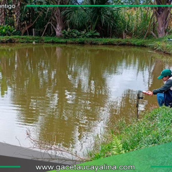 Direpro San Martín realiza 60 monitoreos de calidad de agua en centros acuícolas