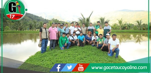 Productores de Puno, Madre de Dios y Cusco aprenden modelo de desarrollo sostenible en Vraem