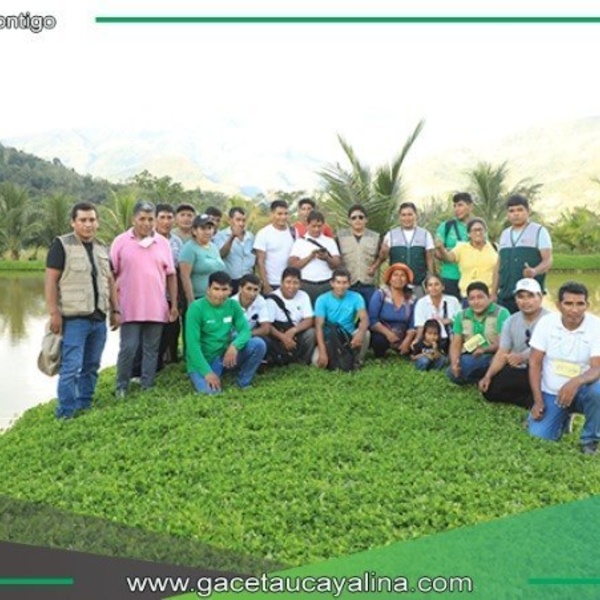 Productores de Puno, Madre de Dios y Cusco aprenden modelo de desarrollo sostenible en Vraem