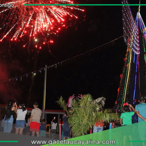 Árbol Navideño más alto de la amazonía está en Yarinacocha 