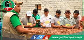 Productores de Puno, Cusco y Madre de Dios intercambian experiencias agrícolas en el Vraem