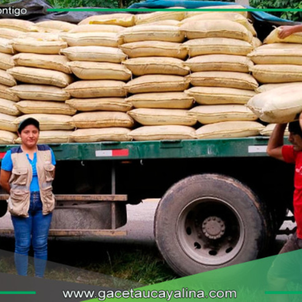 Más de 900 agricultores de Junín mejoran sus cultivos con guano de las islas