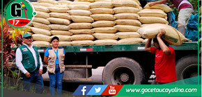 Más de 900 agricultores de Junín mejoran sus cultivos con guano de las islas