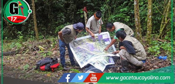 MINAM fortalece a 837 custodios forestales para proteger la Amazonía