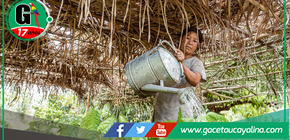 MINAM invierte S/ 49.8 millones en proyectos productivos para preservar la Amazonía