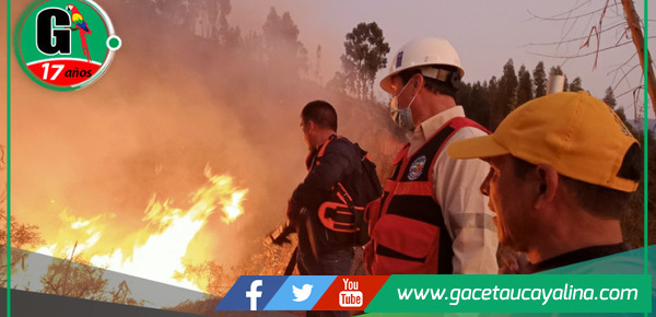 Investigadores revelan devastadores efectos de incendios forestales en suelos de Cusco