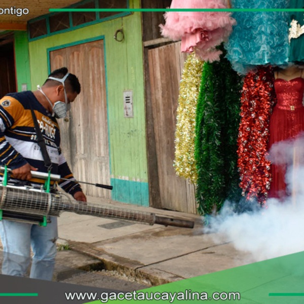 Refuerzan medidas ante posible rebrote de dengue en Sepahua