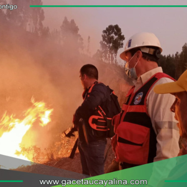 Investigadores revelan devastadores efectos de incendios forestales en suelos de Cusco