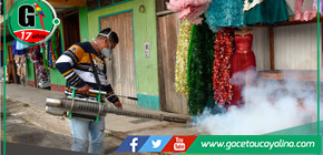 Refuerzan medidas ante posible rebrote de dengue en Sepahua