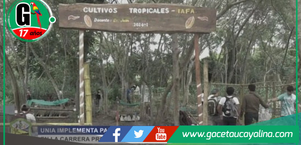 Estudiantes de IAFA-UNIA crean parcelas demostrativas de cultivos tropicales.