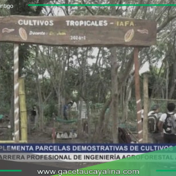 Estudiantes de IAFA-UNIA crean parcelas demostrativas de cultivos tropicales.