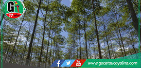 Ucayali Registra Avances Significativos.