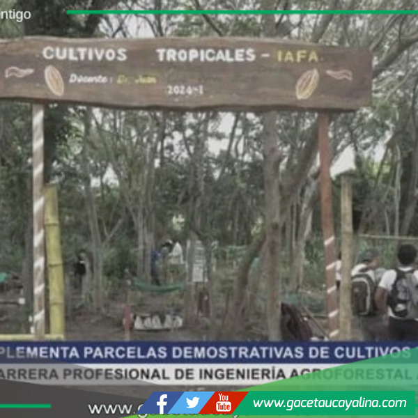 Estudiantes de IAFA-UNIA crean parcelas demostrativas de cultivos tropicales.