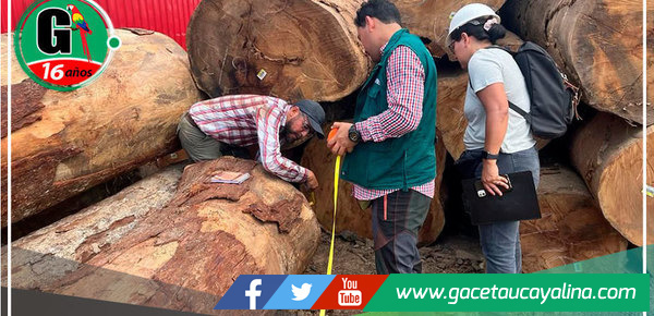 Aprueban la creación de estándar de competencia laboral en gestión de información de trazabilidad de la madera