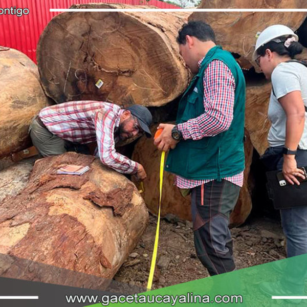 Aprueban la creación de estándar de competencia laboral en gestión de información de trazabilidad de la madera