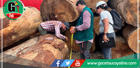 Aprueban la creación de estándar de competencia laboral en gestión de información de trazabilidad de la madera