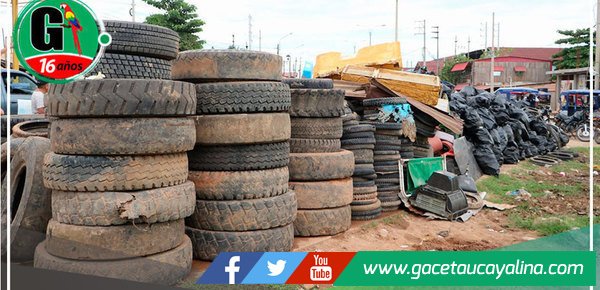 MPCP trabaja en el recojo y eliminación de criaderos de zancudos 