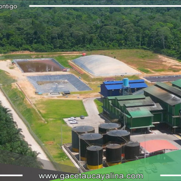Grupo Ocho Sur Impulsa Proyecto “Industrial de Oleaginosas” con Inversión Significativa en Ucayali