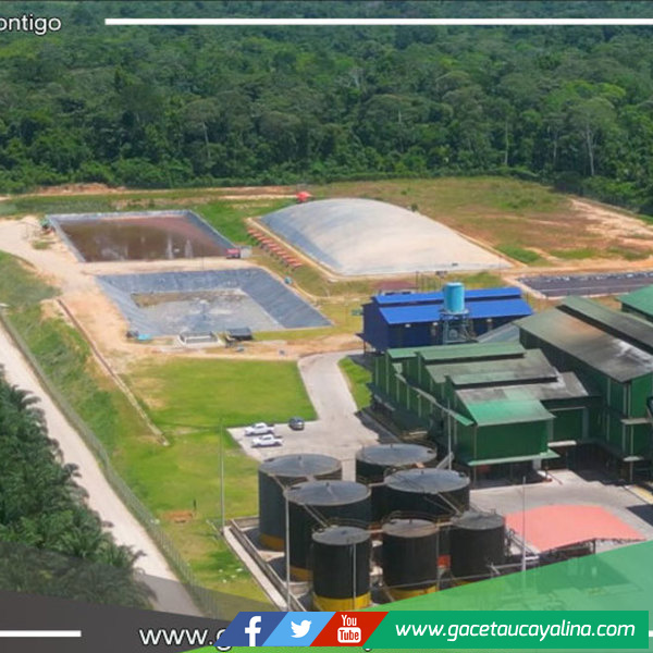 Grupo Ocho Sur Impulsa Proyecto “Industrial de Oleaginosas” con Inversión Significativa en Ucayali