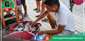 Éxito en venta de PACOS en Sepahua