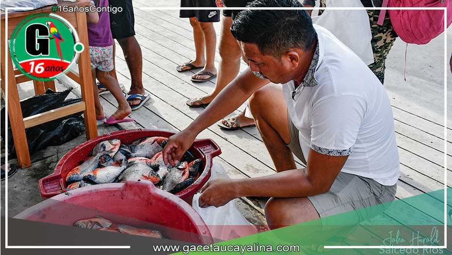 Éxito en venta de PACOS en Sepahua
