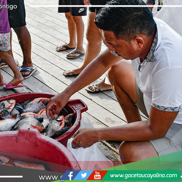 Éxito en venta de PACOS en Sepahua