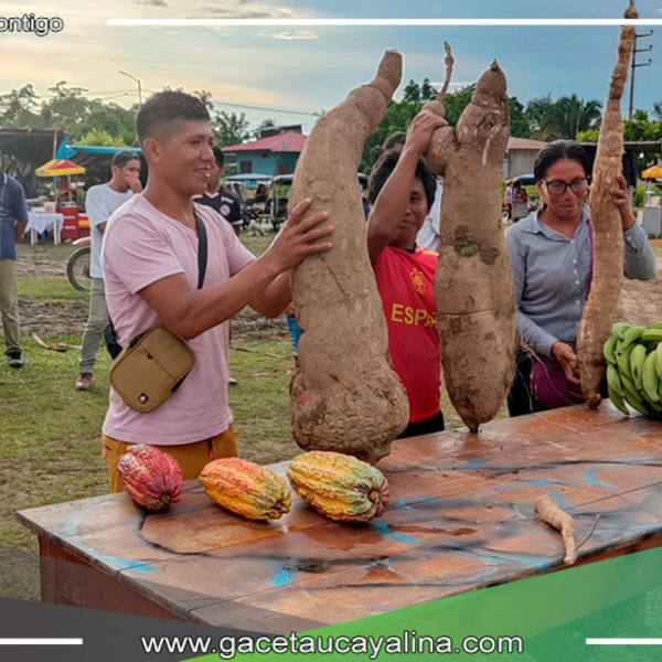 Selecciones de lo Mejor en la Feria Agropecuaria y Ginkana del Carnaval, la Yuca, Cacao, Racimo de Plátano y Gallo más grande