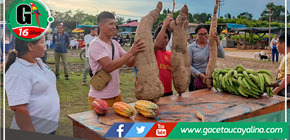 Selecciones de lo Mejor en la Feria Agropecuaria y Ginkana del Carnaval, la Yuca, Cacao, Racimo de Plátano y Gallo más grande