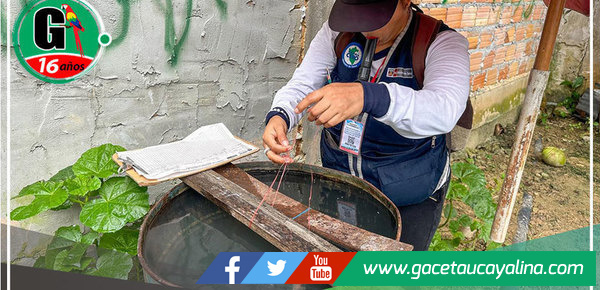 Geresa Loreto inspecciona 800 viviendas en lucha contra el dengue