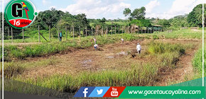 Recuperación de piscigranja abandonada por la municipalidad distrital de Tahuanía en marcha