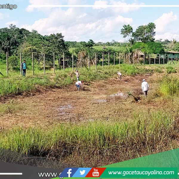 Recuperación de piscigranja abandonada por la municipalidad distrital de Tahuanía en marcha