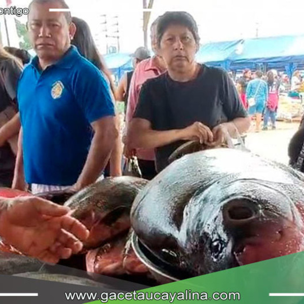 Mercado de Belén en Iquitos: centro de encuentro para adquirir pescado por Semana Santa