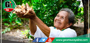 Nelly Yahuarcani, la guardiana de los secretos medicinales de la Amazonía a sus 75 años