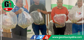 Alcalde John Salcedo Ríos Impulsa la Acuicultura Sostenible en Sepahua