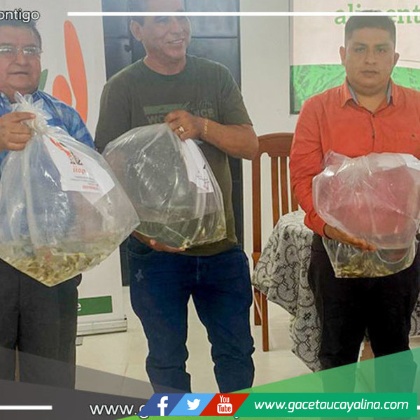 Alcalde John Salcedo Ríos Impulsa la Acuicultura Sostenible en Sepahua