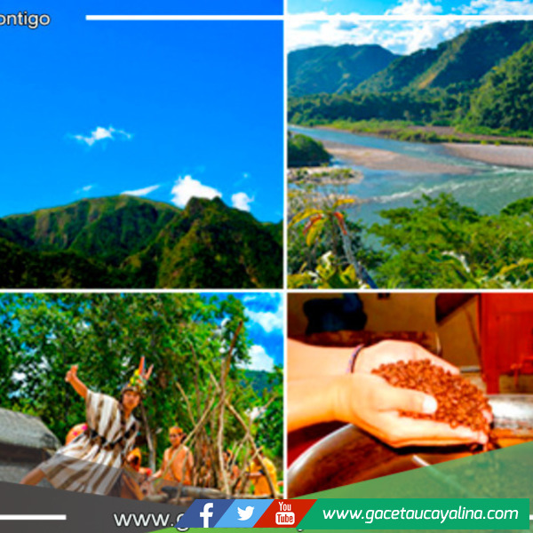 Chanchamayo: Naturaleza, Gastronomía y Aventura a un Paso de Lima