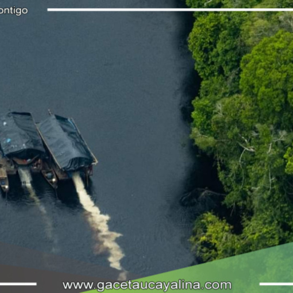 Primeras imágenes de deforestación por minería ilegal en el Rio Nanay