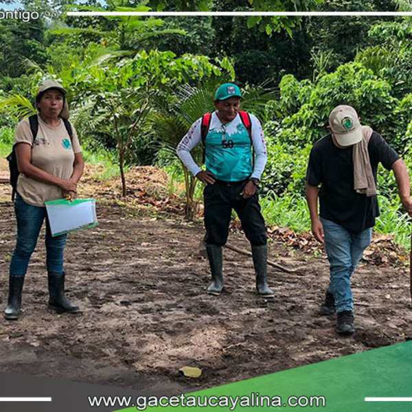 Estudiantes de Atalaya se sumergen en el mundo de la agricultura y la crianza gracias a "Frutos de mi Tierra Atalayina"