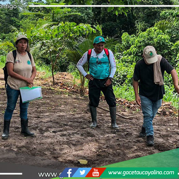 Estudiantes de Atalaya se sumergen en el mundo de la agricultura y la crianza gracias a "Frutos de mi Tierra Atalayina"