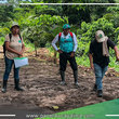Estudiantes de Atalaya se sumergen en el mundo de la agricultura y la crianza gracias a "Frutos de mi Tierra Atalayina"