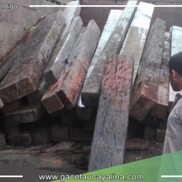 Intervienen más de 50 metros cúbicos de madera ilegal proveniente de Ucayali