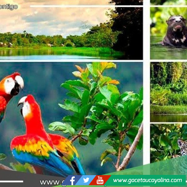 "El Parque Nacional del Manu: Tesoro Natural de la Selva Peruana"