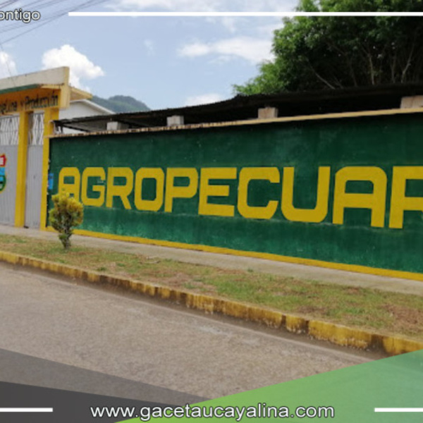 Varios estudiantes desmayados deja ceremonia escolar en Tingo María
