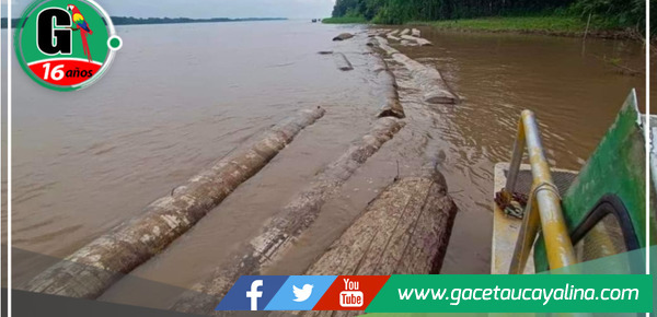 Descubren 60 trozas de madera abandonadas en el río Marañón