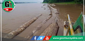 Descubren 60 trozas de madera abandonadas en el río Marañón