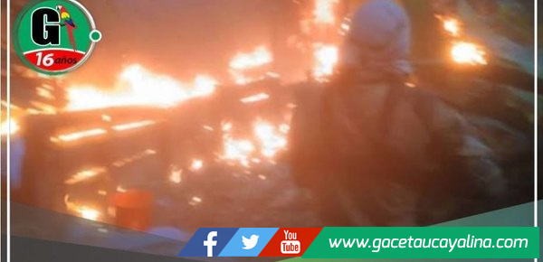 Destruyen pozas de maceración e incautan sustancias y armas 