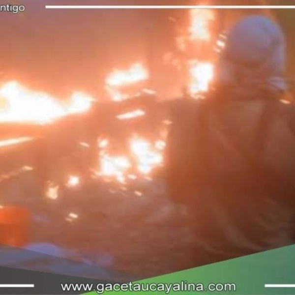 Destruyen pozas de maceración e incautan sustancias y armas 
