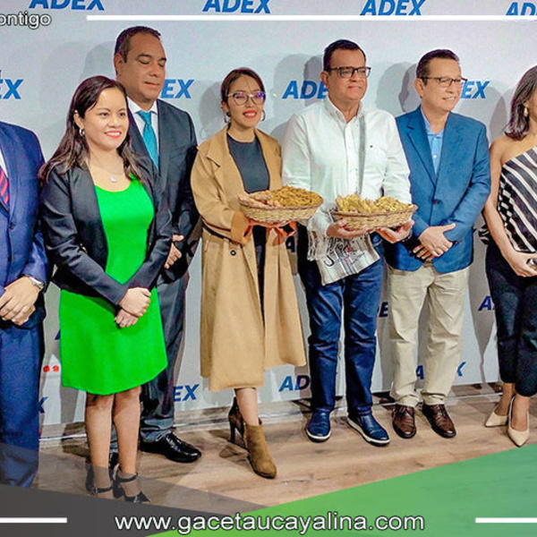 Lanzamiento del Ginger Week 2024 busca posicionar el kion y la cúrcuma a nivel mundial