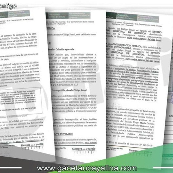 Desafíos y Controversias en el Caso del Puente Tingo María 